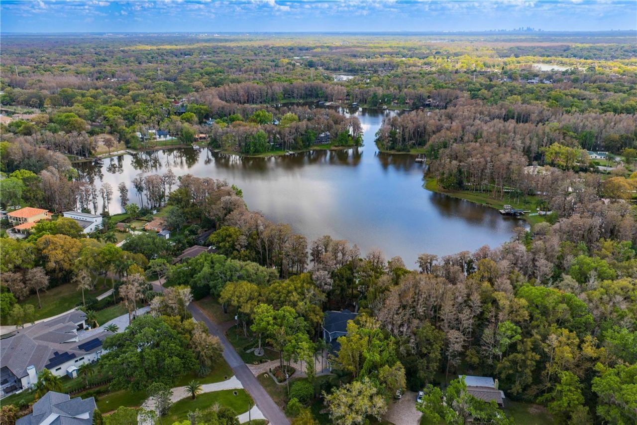 3632 Little Road, Lutz, FL 33548 Photo