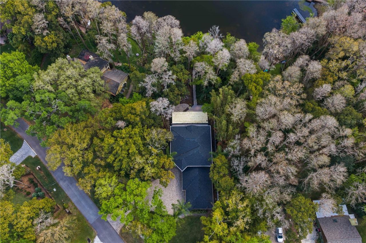 3632 Little Road, Lutz, FL 33548 Photo