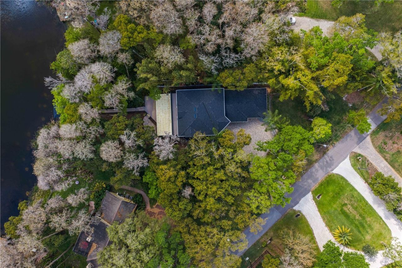 3632 Little Road, Lutz, FL 33548 Photo