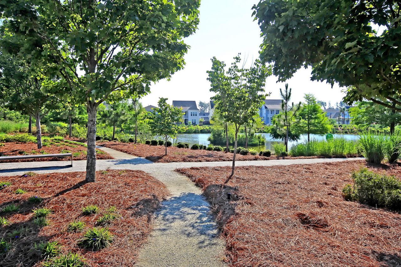 208 Springrise Lane Photo 50