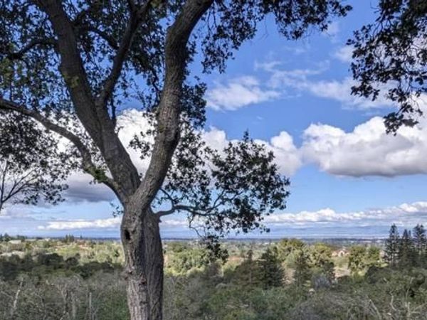 25564 Fernhill Drive, Los Altos Hills, CA 94024