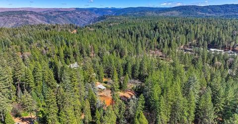 9 Charles Lynd Way, Forbestown, CA 95941 Photo