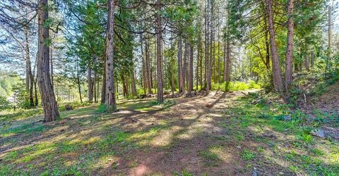 9 Charles Lynd Way, Forbestown, CA 95941 Photo