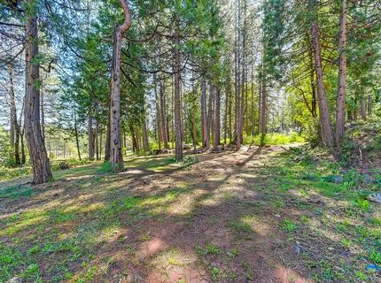 9 Charles Lynd Way, Forbestown, CA 95941 Photo