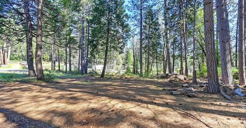 9 Charles Lynd Way, Forbestown, CA 95941 Photo