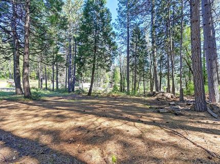 9 Charles Lynd Way, Forbestown, CA 95941 Photo