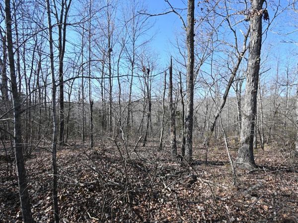 130 Wyatt Lane, Linden, TN 37096