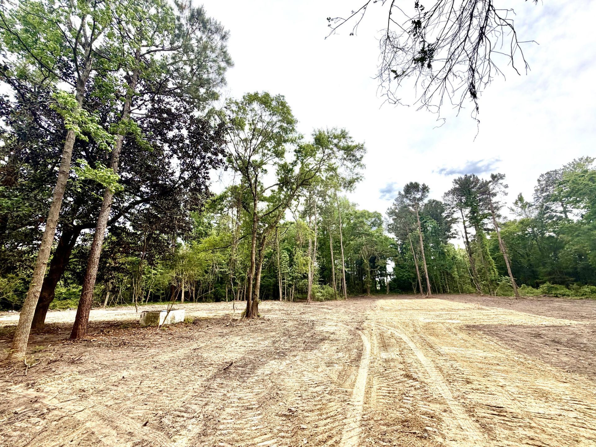 348 Bluebird Trail Photo 16