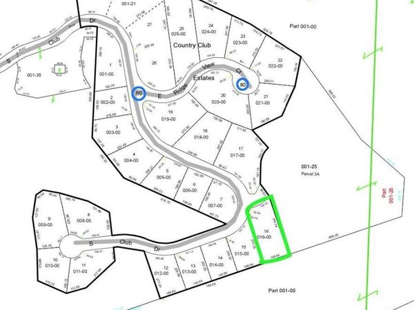 16 Club Drive S, Cedar, MI 49621