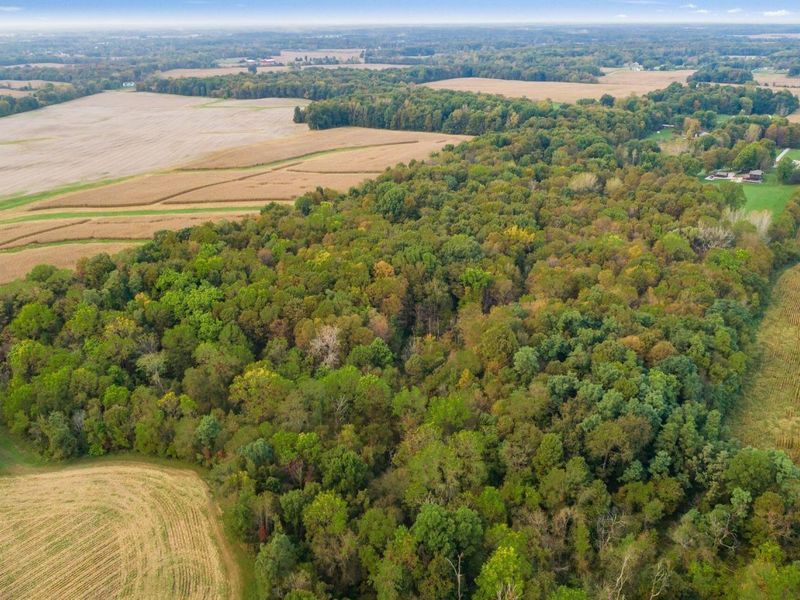 1136 Porter Lane , Centerburg, OH 43011 Photo 55