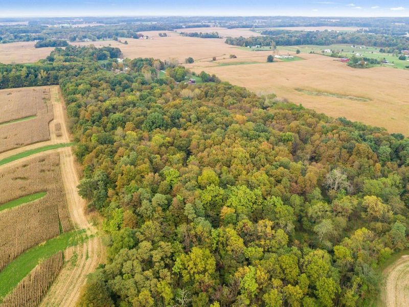 1136 Porter Lane , Centerburg, OH 43011 Photo 58