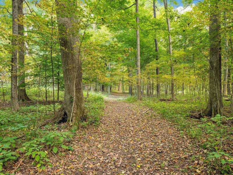 1136 Porter Lane , Centerburg, OH 43011 Photo 72