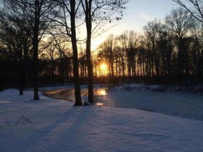 1136 Porter Lane , Centerburg, OH 43011 Photo 75