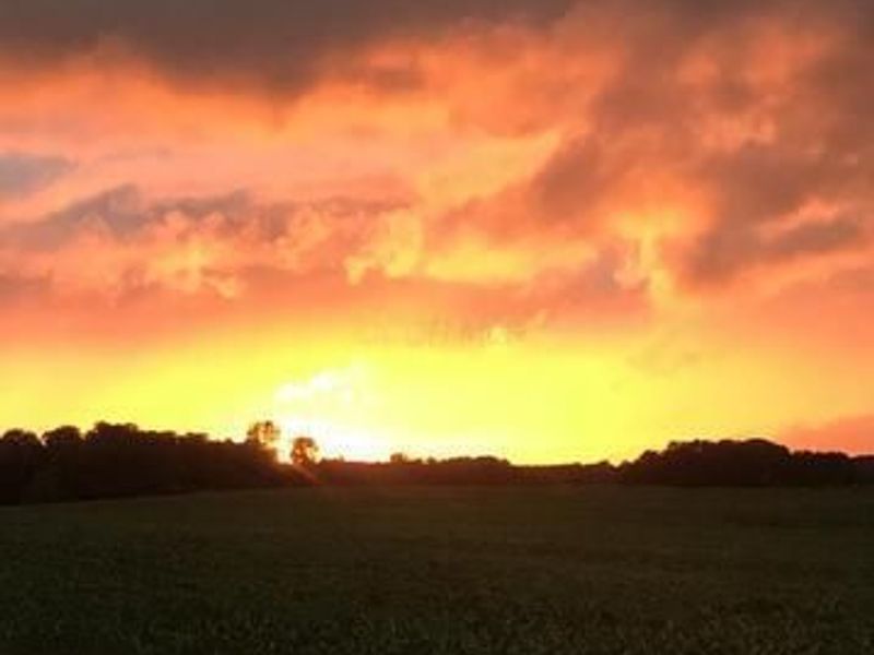 1136 Porter Lane , Centerburg, OH 43011 Photo 76