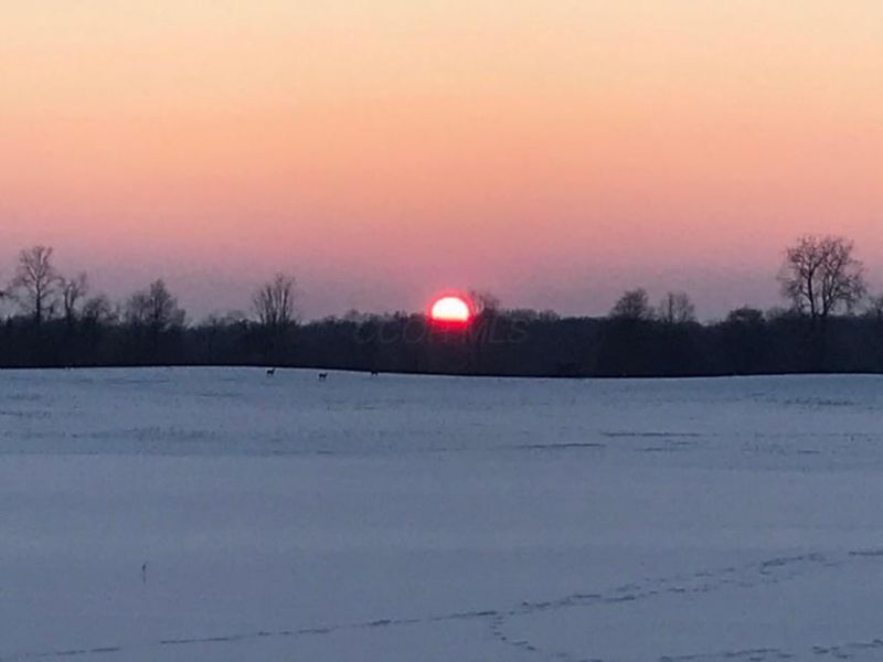 1136 Porter Lane , Centerburg, OH 43011 Photo 77