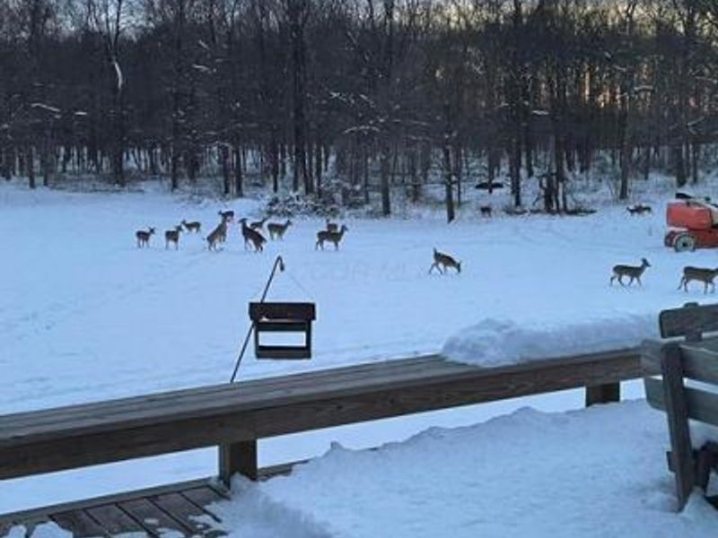 1136 Porter Lane , Centerburg, OH 43011 Photo 80