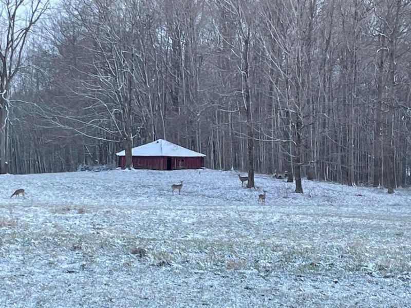 1136 Porter Lane , Centerburg, OH 43011 Photo 81