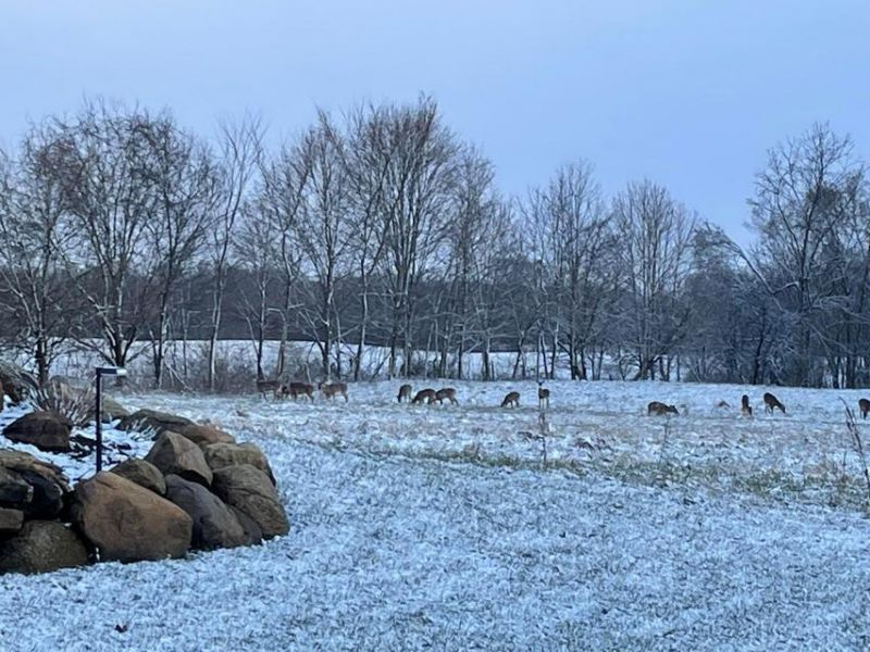 1136 Porter Lane , Centerburg, OH 43011 Photo 83