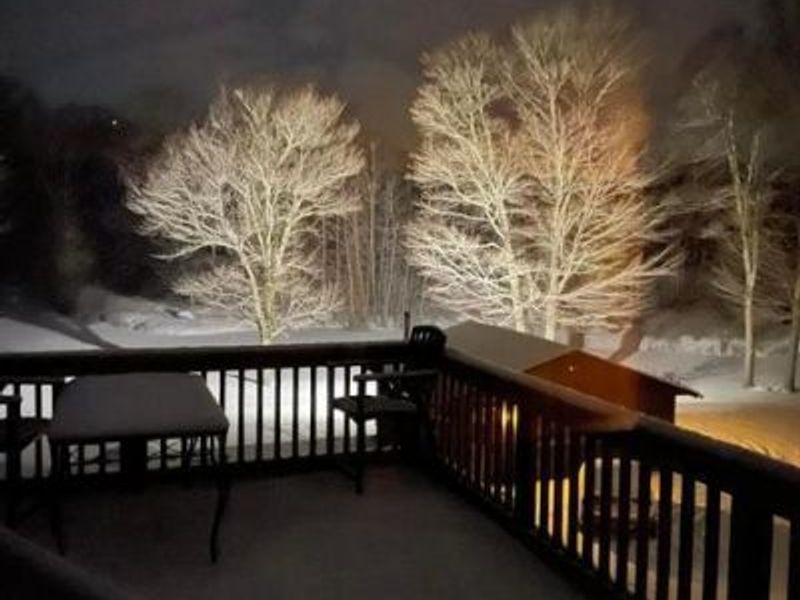 1136 Porter Lane , Centerburg, OH 43011 Photo 84