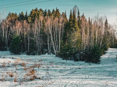 TBD Parcel 17 Hwy 115 , Tower, MN 55790