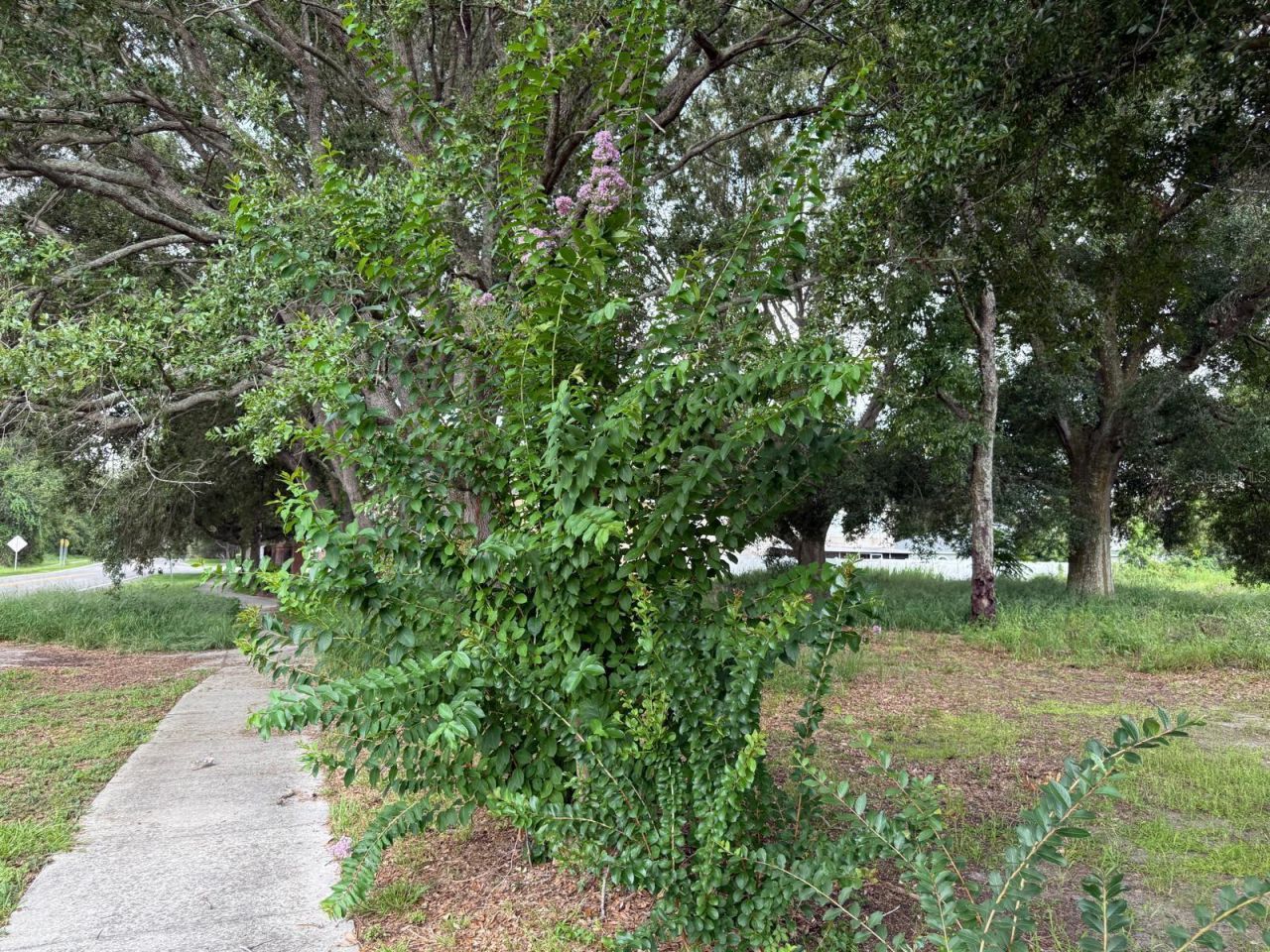 Please Call For Address, Mascotte, FL 34753 Photo