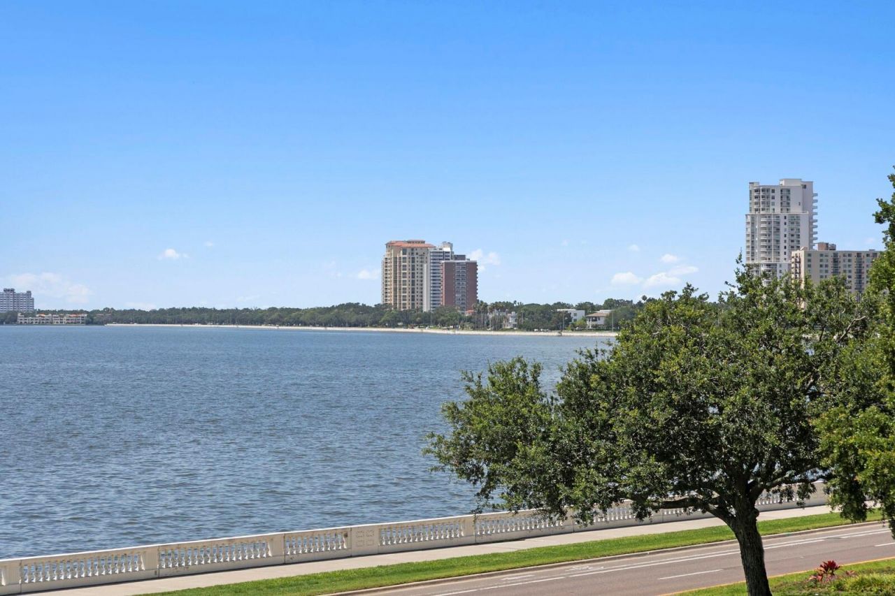 2619 Bayshore Boulevard, Unit 200, Tampa, FL 33629 Photo