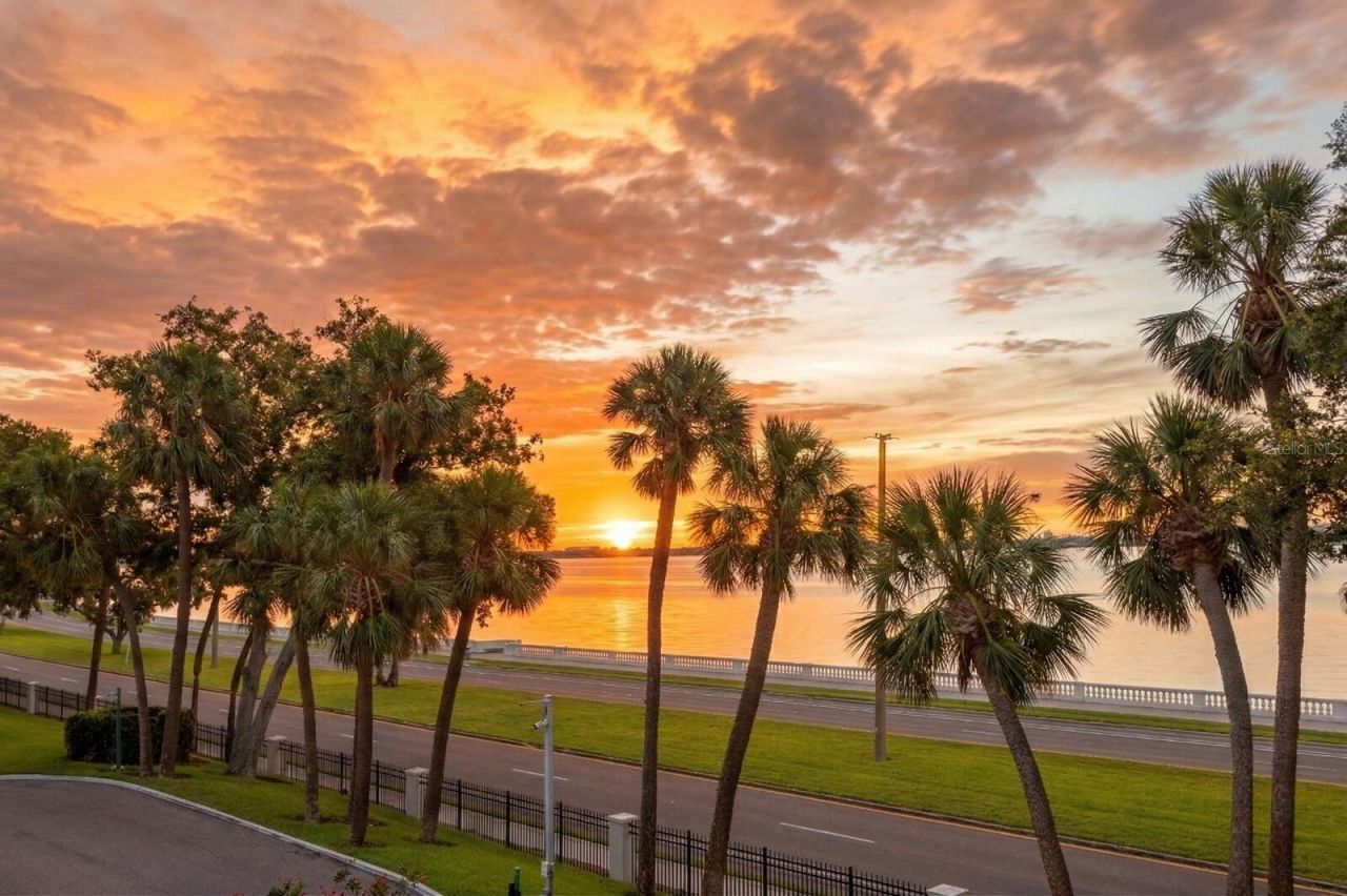 2619 Bayshore Boulevard, Unit 200, Tampa, FL 33629 Photo