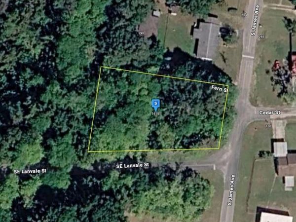 1615 SE LANVALE STREET , LAKE CITY, FL 32025