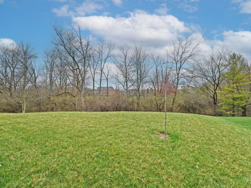 6407 Evergreen Court, Mason, OH 45040 Photo 51