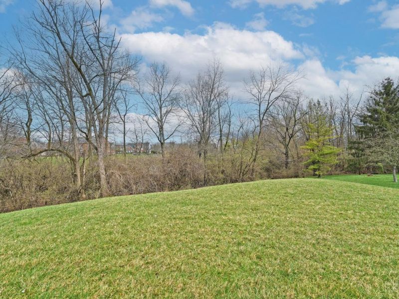 6407 Evergreen Court, Mason, OH 45040 Photo 52