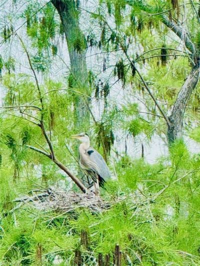 10526 Carena Cir, Fort Myers, FL 33913 Photo