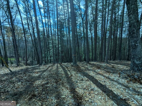 LT 30-31 Eagle Ridge Road, Dawsonville, GA 30534