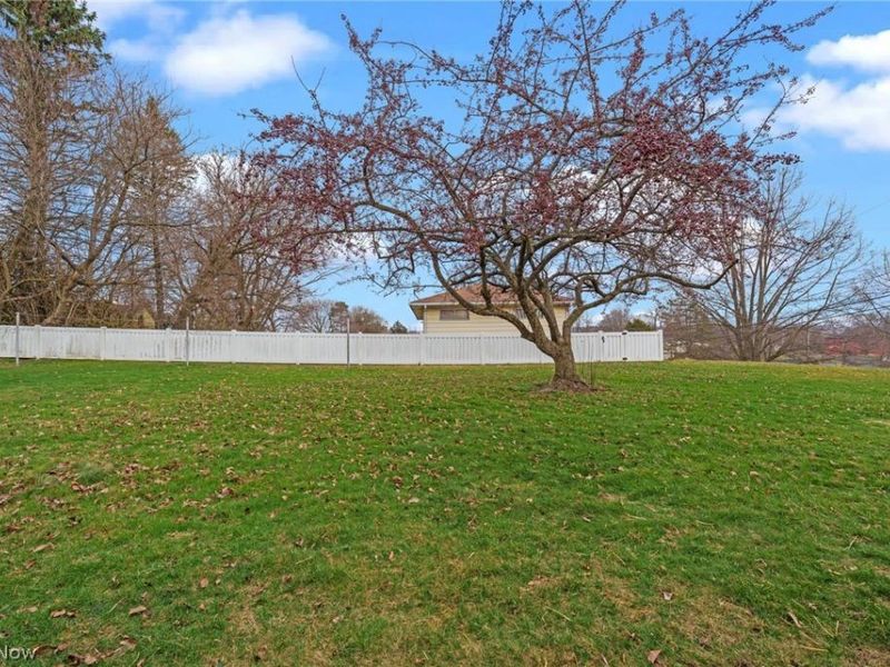 333 17th Street NW, Barberton, OH 44203 Photo 43
