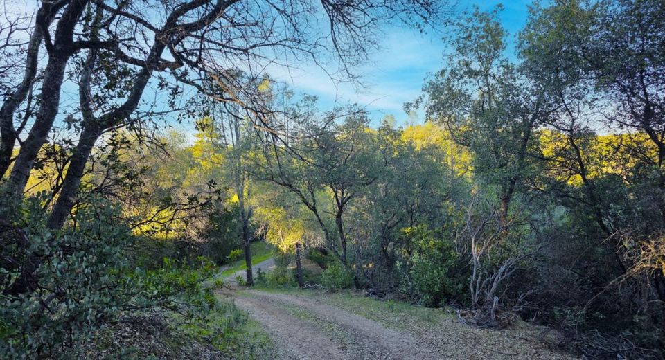 Ridge View, Sutter Creek, CA 95685 Photo