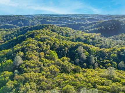 Ridge View, Sutter Creek, CA 95685 Photo