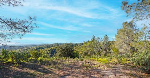 Ridge View, Sutter Creek, CA 95685 Photo