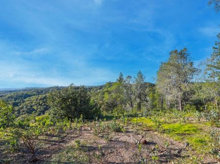 Ridge View, Sutter Creek, CA 95685 Photo