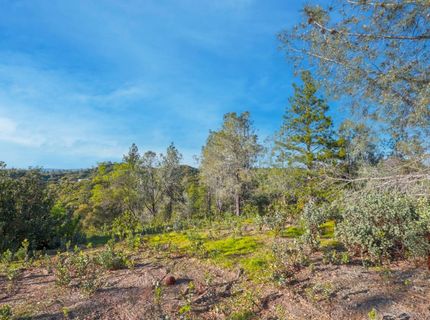 Ridge View, Sutter Creek, CA 95685 Photo