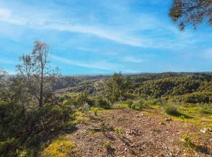 Ridge View, Sutter Creek, CA 95685 Photo