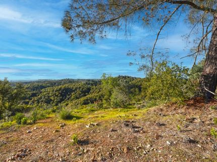 Ridge View, Sutter Creek, CA 95685 Photo