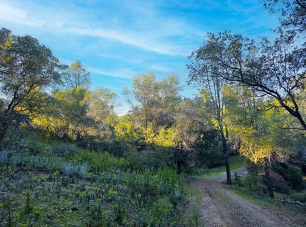Ridge View, Sutter Creek, CA 95685 Photo