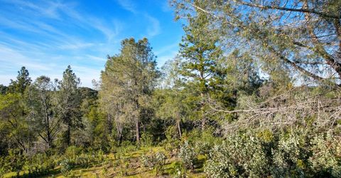 Ridge View, Sutter Creek, CA 95685 Photo
