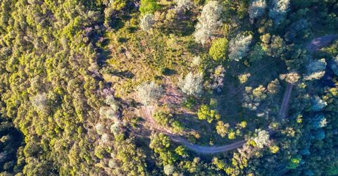 Ridge View, Sutter Creek, CA 95685 Photo