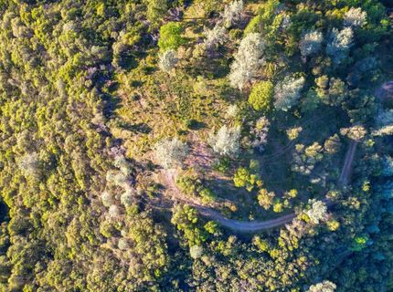 Ridge View, Sutter Creek, CA 95685 Photo