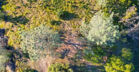 Ridge View, Sutter Creek, CA 95685 Photo