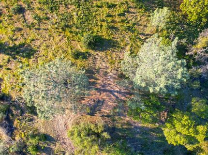 Ridge View, Sutter Creek, CA 95685 Photo