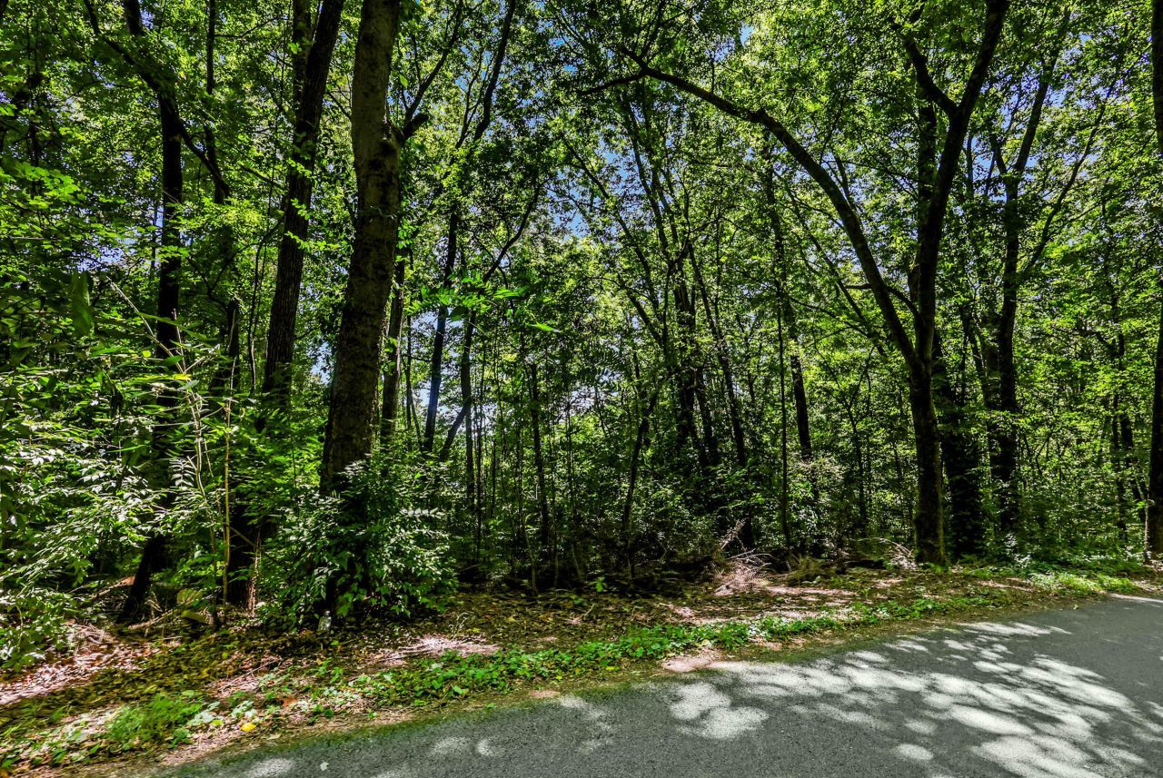 Please Call For Address, Cleveland, TN 37312 Main Photo