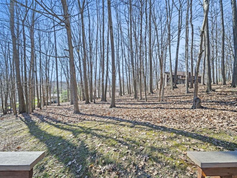 1249 Stratford Woods Drive , Newark, OH 43055 Photo 34