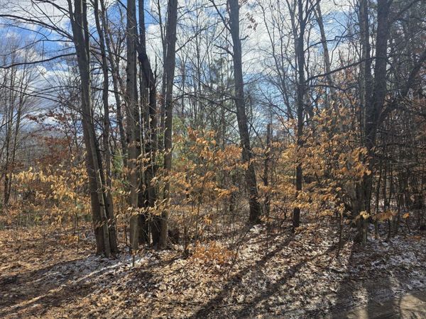 3rd St, White Cloud, MI 49349