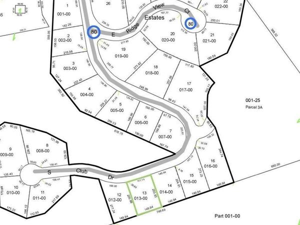 13 Club Drive S, Cedar, MI 49621